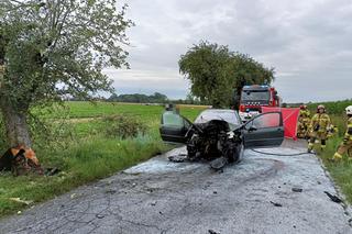 Śmiertelny wypadek pod Pleszewem. W aucie 40-latki wybuchł pożar [ZDJĘCIA]