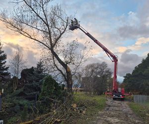 Silny wiatr i ulewy nad Łódzkiem