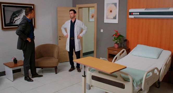 Miłość i nadzieja odc. 281. Kuzey, Levent