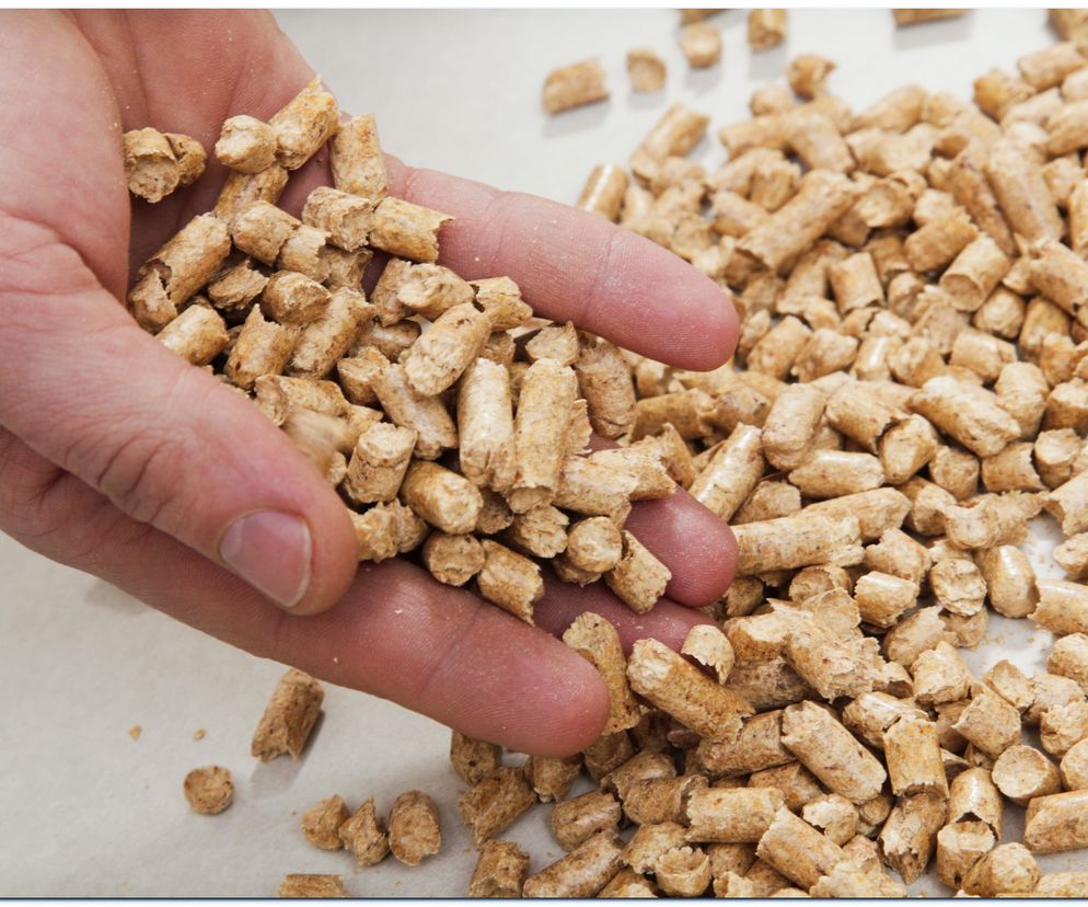 Pellet drzewny