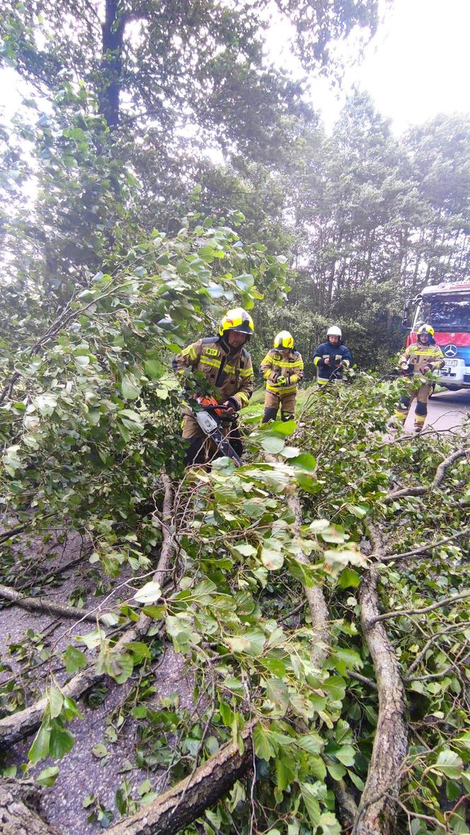 Podlaskie. Ponad 200 niedzielnych interwencji strażaków w związku z silnym wiatrem i burzami