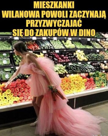 Memy o Dino obiegły social media