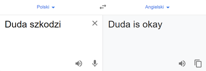Wybory 2020. Tłumacz Google mówi o Dudzie i Trzaskowskim: Duda is ok; Trzaskowski is...