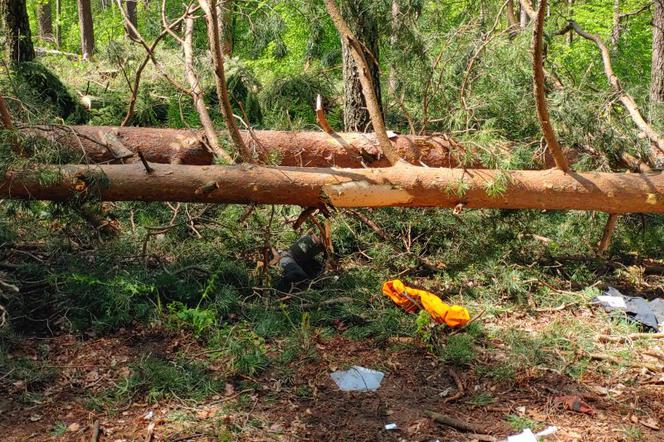 Tragiczny wypadek podczas prac leśnych w gminie Orzysz