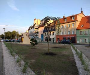 Jelenia Góra upamiętnia Powstańców Warszawskich. Zobacz piękny powstańczy mural 