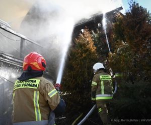 Pożar Wilczej Jamy w Bieszczadach