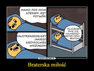 Dzień Braci: MEMY, które natychmiast będziesz chciał pokazać swojemu bratu!
