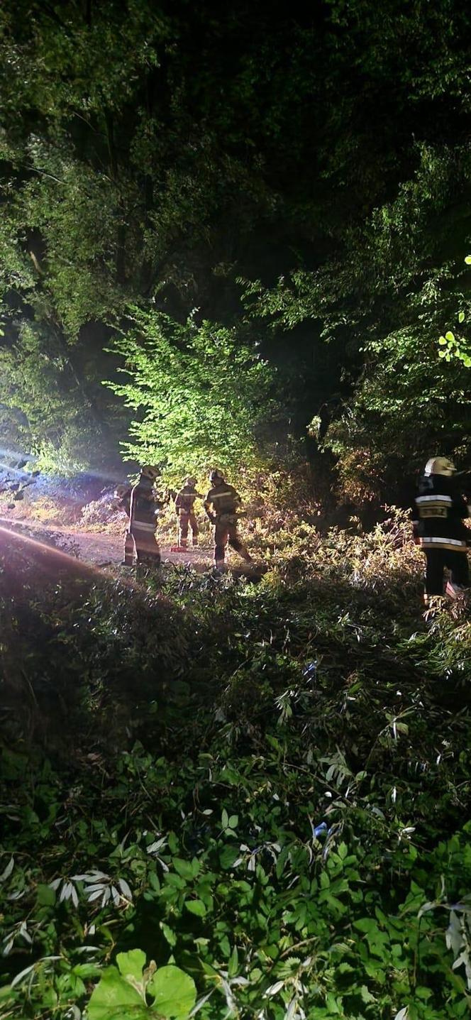 Skutki wichury, która przeszła na Bielskiem-Białą i okolicą