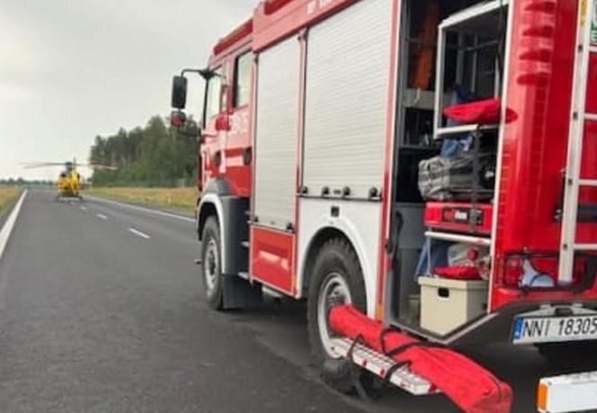 Śmiertelny wypadek na S7! Dwóch mężczyzn nie żyje. Bus huknął w bariery i wpadł do rowu [ZDJĘCIA]