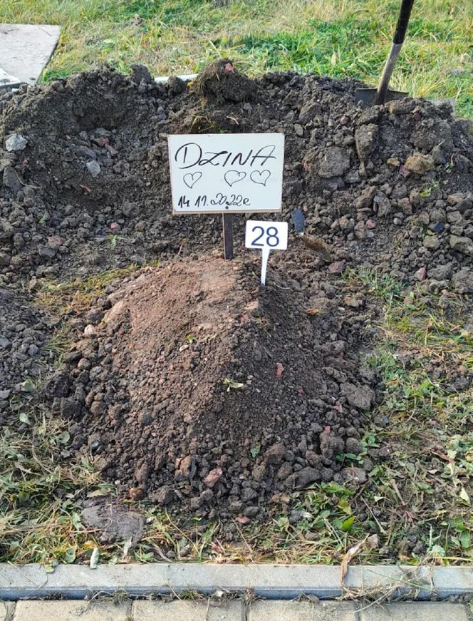 W całym woj. śląskim jest tylko jeden taki cmentarz. Miejsce, gdzie pamięć o pupilu nie umiera