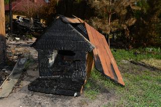 Stracili dom w Wielki Piątek. Młode małżeństwo spod Garwolina potrzebuje naszej pomocy