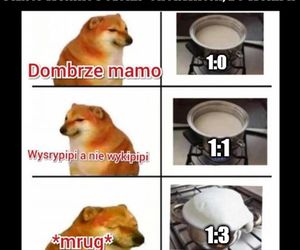 Polska - Chorwacja memy