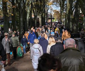 1 listopada na cmentarzach w Polsce. Tak Polacy obchodzą Wszystkich Świętych