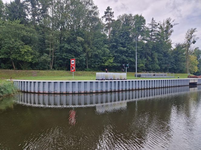 Złota alga zaatakowała Kanał Gliwicki we wrześniu 2025 roku