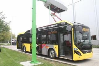 Sprawdź ile zarabia się w przewozie osób!