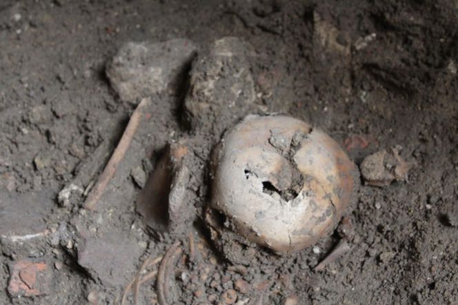 Groby dzieci. Odkrycie archeologiczne w Bytomiu