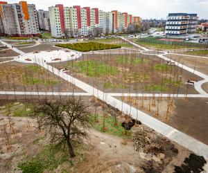 Park przy pl. Papieskim w Sosnowcu prawie gotowy. Trwają ostatnie prace