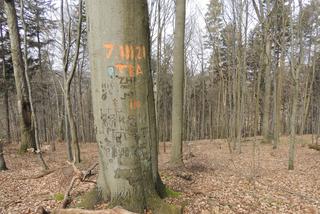 Takie pamiątki zostawiają po sobie turyści w lasach. Smutne to - mówią leśnicy 