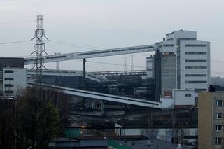 Raport Greenpeace. Kto zatruł Odrę? Naukowcy mówią o kopalniach ze Śląska