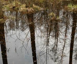 Park Krajobrazowy Wzniesień Łódzkich