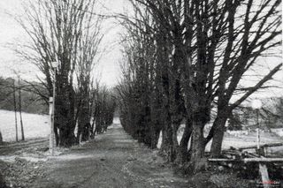 To jedna z najsłynniejszych wsi w Polsce. Leży tylko 20 km od Olsztyna. Tak wyglądała dawniej