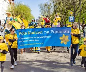 Za nami barwna Żonkilowa Parada. Tak wyglądał Finał Pól Nadziei na Pomorzu 2024