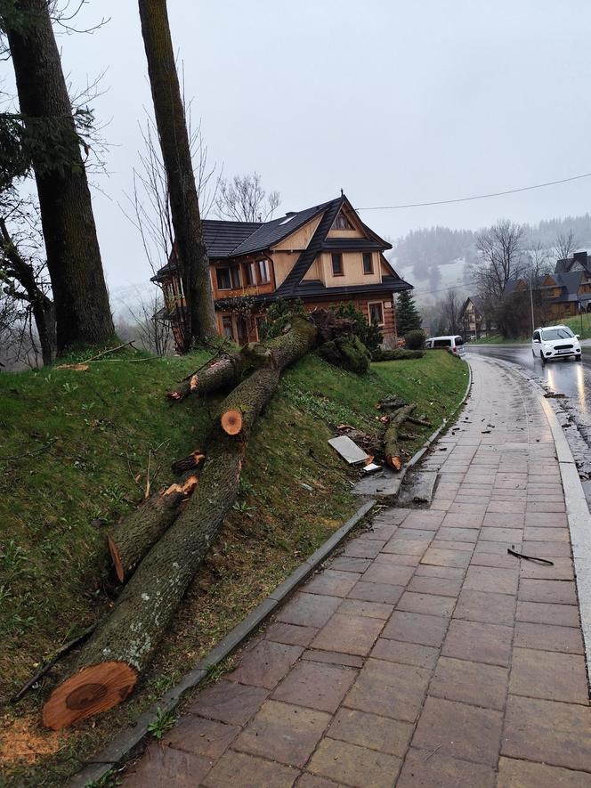 Tragedia w Zakopanem. Basia zginęła, jej pies przeżył