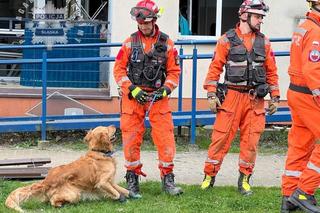 Prokuratura ujawnia ustalenia w sprawie wybuchu w Tychach. Badają dwie wersje 