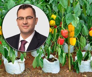  Minister rolnictwa o katastrofalnej sytuacji rolników. Jak uratować uprawiających ziemniaki, paprykę i marchew