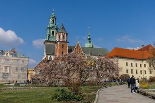 To najdroższe muzeum w Polsce. Za rodzinne zwiedzanie musimy zapłacić ponad 300 zł