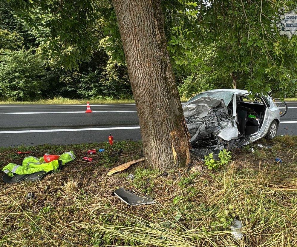 Czarny alert na Śląsku. Mazda roztrzaskała się na drzewie. Nie żyje kierowca