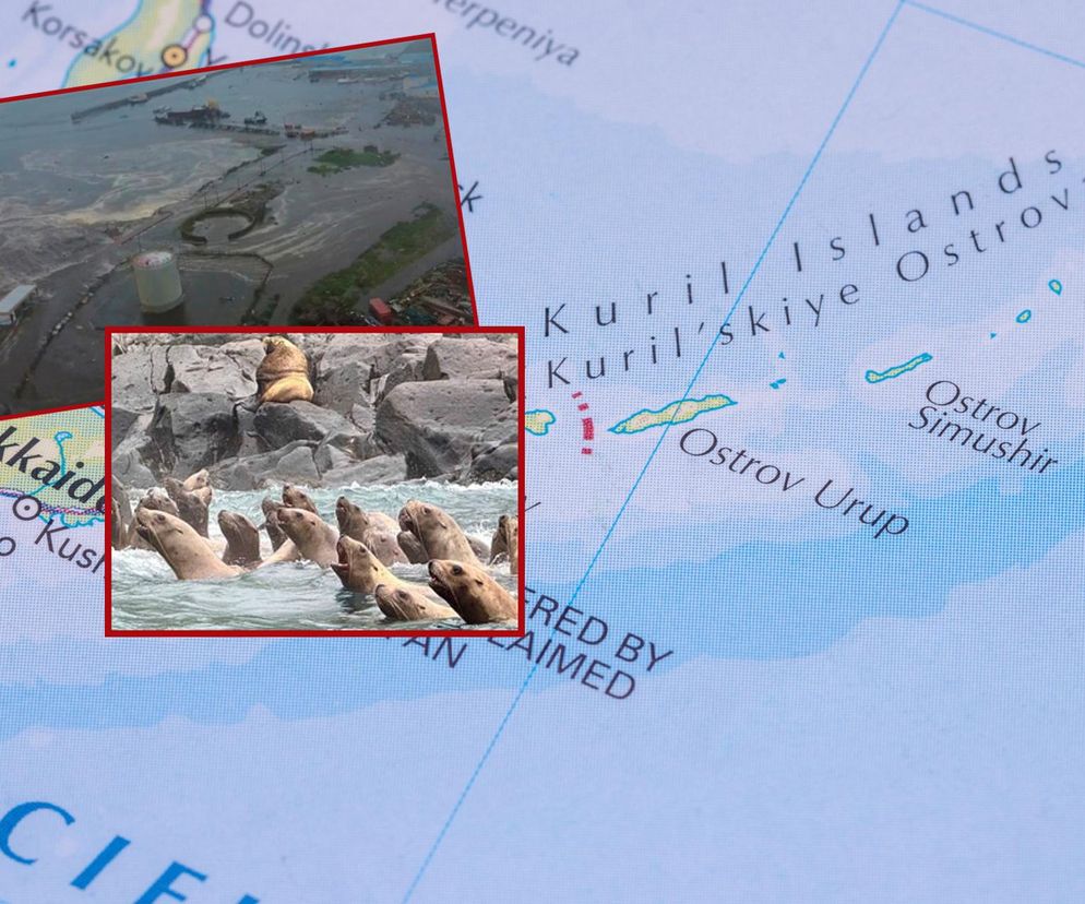 Silne trzęsienie ziemi w Rosji