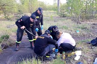 Fart wtopił się w asfalt