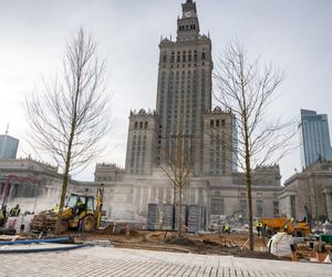 Plac Centralny z kolejnymi drzewami