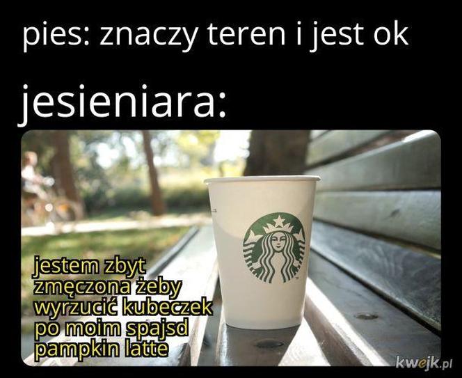 Kocyki, sesje w liściach, czyli jesieniary wracają! Zobacz najlepsze memy 