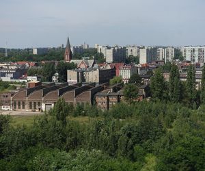 Gęstość zaludnienia w Polsce. W tych miejscowościach żyje się jak w ulu