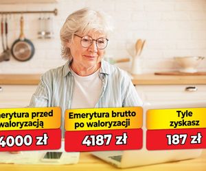 Waloryzacja emerytur 4,69 
