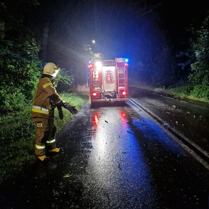 Burzowa noc w Śląskiem. Blisko 10 tys. osób bez prądu. Piorun popalił dom 