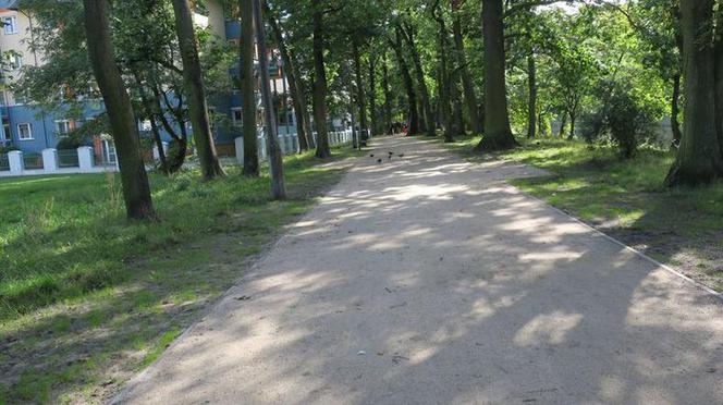 Park nad Starym Kanałem czeka remont. Ma być pięknie! 