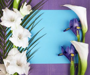 Dzień Teściowej 2025. Wyjątkowe życzenia i śmieszne wierszyki dla teściowej [5.03.2025]