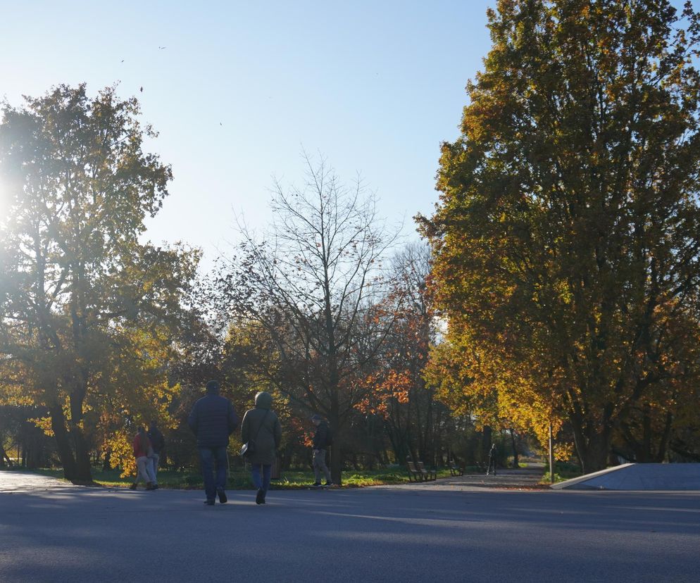 Park Ludowy w listopadowej odsłonie! Zdjęcia