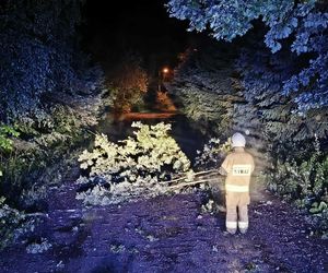 Powalone drzewa, zalania, wstrzymany ruch tramwajów: dramatyczny bilans orkanu nad Śląskiem