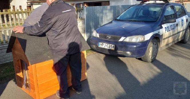Pies 90-letniego mężczyzny zyskał nową budę
