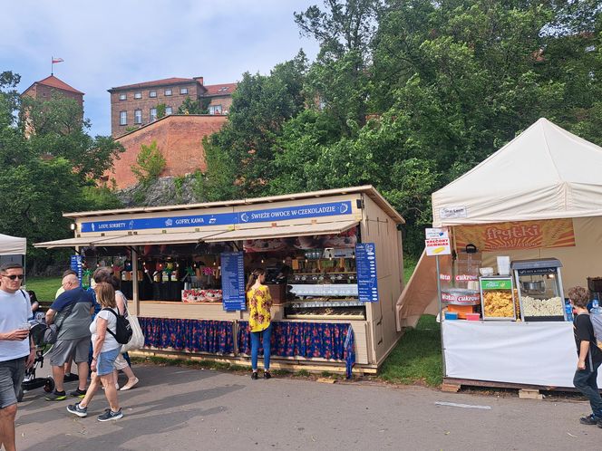 Smoczy Piknik Rodzinny 2025 w Krakowie