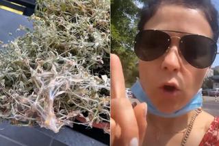 Kolejna katastrofa w domu Katarzyny Cichopek. Gwiazda M jak miłość groziła, że ich wszystkich załatwi! - WIDEO