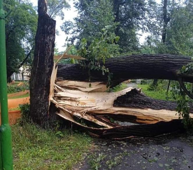 Gwałtowne burze przeszły nad woj. śląskim