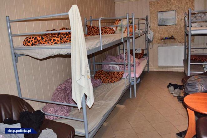Wielka akcja służb w Małopolsce. Produkowali miliony nielegalnych papierosów