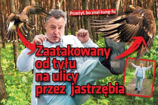 Zaatakowany od tyłu  na ulicy przez  jastrzębia