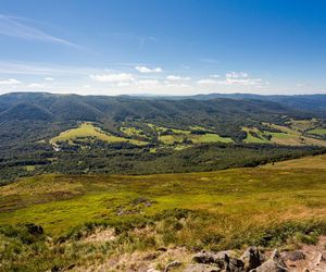 Najpiękniejsze lasy w Polsce na jesienne spacery. Gdzie warto pojechać, zanim opadną liście?