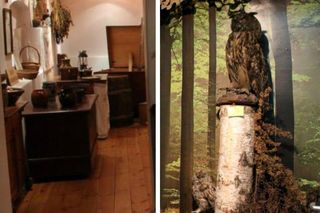 Muzeum Borów Tucholskich w starym spichlerzu. Można się tu przenieść w czasie!